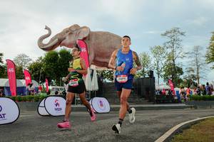 BIB: 
                            <button type="button" onclick="openModal(26529116)" class="btn btn-primary btn-sm float-right btn-popup" data-toggle="modal" data-target=".modal-high-quality">
                        <i class="fas fa-shopping-cart"></i> Add to Cart
                    </button>
                                            <button type="button" onclick="isThisMe(26529116, true)" class="btn btn-success btn-sm float-right btn-popup btn-isme hidden" data-toggle="tooltip" data-placement="bottom" title="นี่คือรูปของคุณใช่ไหม คลิกที่นี่เพื่อเอาเข้าอัลบั้ม">
                        <i class="fas fa-plus"></i> Add to album
                    </button>
                    <button type="button" onclick="isThisMe(26529116, false)" class="btn btn-warning btn-sm float-right btn-popup btn-isnotme hidden">
                        <i class="fas fa-ban"></i> Remove from album
                    </button>